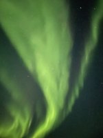 IMG_5026.jpeg IMG_5026.jpeg