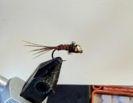 IMG_20260601_171450829~2.jpg