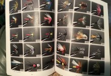 IMG_5911.jpeg IMG_5911.jpeg