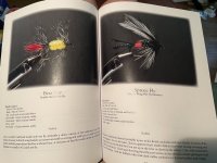 IMG_5913.jpeg IMG_5913.jpeg