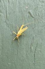 IMG_5852.jpeg