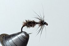 PXL_20260603_201851305.PORTRAIT.jpg