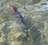 IMG_7534.jpeg