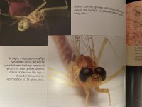 IMG_5932.jpeg