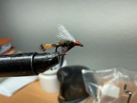 IMG_0265.jpeg