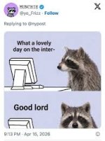 images (79).jpeg