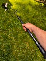 IMG_6653.jpeg IMG_6653.jpeg