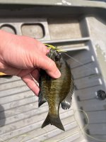 IMG_1237.jpeg
