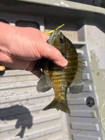 IMG_1234.jpeg