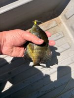 IMG_1224.jpeg
