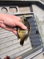 IMG_1241.jpeg