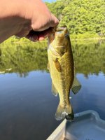 IMG_1208.jpeg