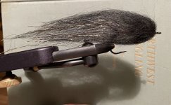 IMG_5946.jpeg
