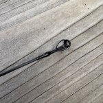 IMG_4346.jpeg