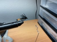IMG_0267.jpeg