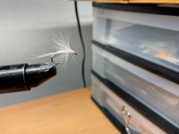 IMG_0266.jpeg