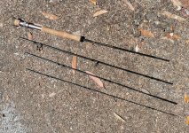 IMG_0569.jpeg