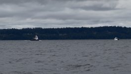 IMG_2487.jpeg