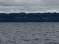 IMG_2491.jpeg