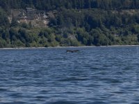 IMG_2489.jpeg