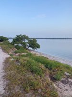 IMG_5491.jpeg