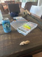 IMG_5479.jpeg