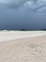 IMG_5511.jpeg