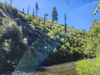 20260611_stream.jpg