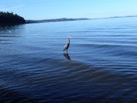 IMG_7224.jpeg