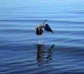 IMG_7225.jpeg