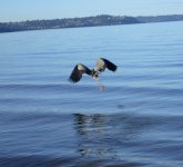 IMG_7226.jpeg
