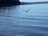 IMG_7227.jpeg