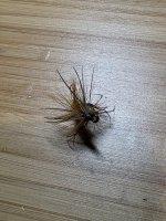 IMG_4265.jpeg IMG_4265.jpeg
