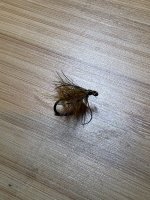 IMG_4266.jpeg IMG_4266.jpeg