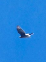 20260614_094510.jpg