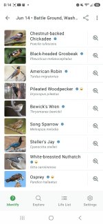Screenshot_20260614_081408_Merlin Bird ID.jpg