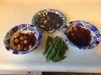 IMG_4868.jpeg IMG_4868.jpeg