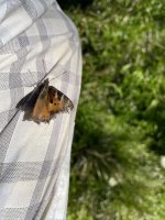 IMG_5962.jpeg