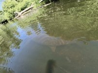 IMG_2838.jpeg