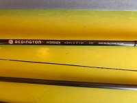 IMG_4106.jpeg