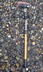 IMG_7272.jpeg