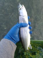 IMG_7266.jpeg