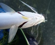 IMG_7269.jpeg
