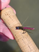 20260612_153858.jpg