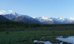 DSC00079_1.JPG DSC00079_1.JPG