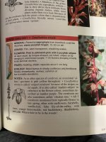 IMG_5972.jpeg