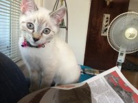IMG_0513.jpeg