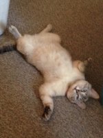 IMG_1063.jpeg