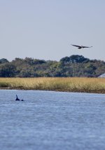 IMG_3690.jpeg IMG_3690.jpeg