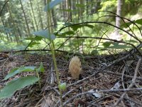 IMG_0849.jpeg